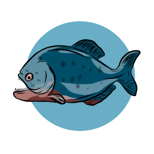 Piranha